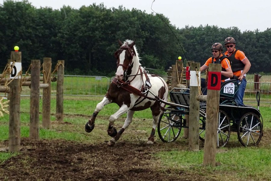 Zilveren medaille op het Nederlands kampioenschap